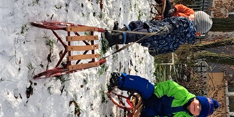 Powiększ grafikę: Na zdjęciu dzieci w wieku przedszkolnym podczas zabaw na śniegu