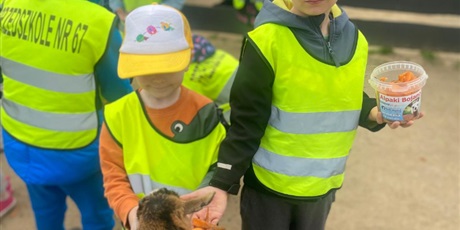 Powiększ grafikę: Alpaki Bojano