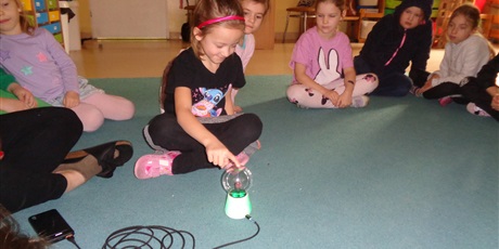 Powiększ grafikę: Andrzejki