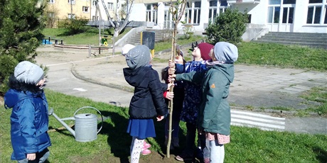 Powiększ grafikę: Drzewa owocowe w naszym ogrodzie przedszkolnym:))