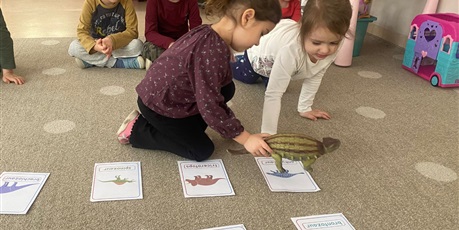 Powiększ grafikę: Dzień dinozaura