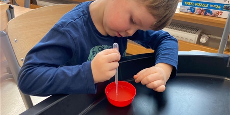 Powiększ grafikę: Dzień dinozaura