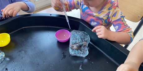 Powiększ grafikę: Dzień dinozaura