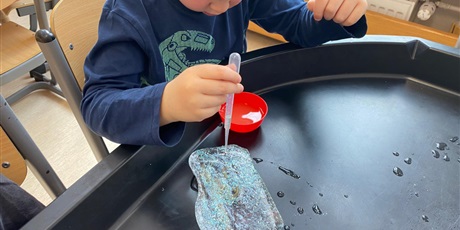 Powiększ grafikę: Dzień dinozaura