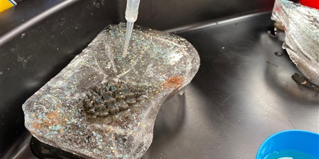 Powiększ grafikę: Dzień dinozaura