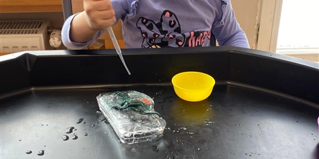 Powiększ grafikę: Dzień dinozaura