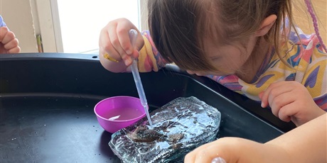 Powiększ grafikę: Dzień dinozaura