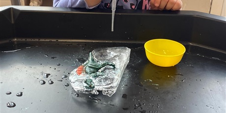 Powiększ grafikę: Dzień dinozaura