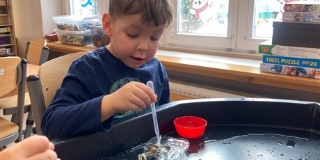 Powiększ grafikę: Dzień dinozaura