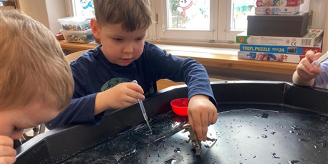 Powiększ grafikę: Dzień dinozaura