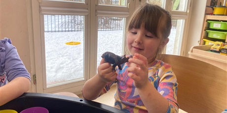 Powiększ grafikę: Dzień dinozaura