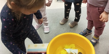 Powiększ grafikę: Eksperymenty - "Co pływa, co tonie"? 