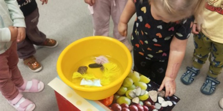 Powiększ grafikę: Eksperymenty - "Co pływa, co tonie"? 