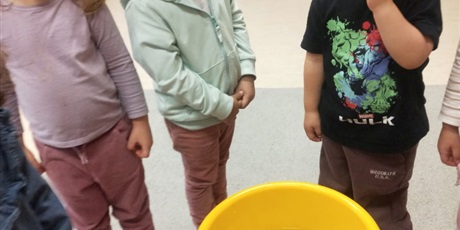 Powiększ grafikę: Eksperymenty - "Co pływa, co tonie"? 