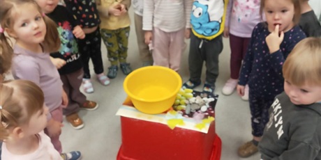 Powiększ grafikę: Eksperymenty - "Co pływa, co tonie"? 