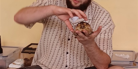 Powiększ grafikę: Gady