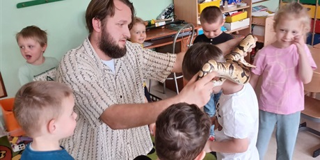 Powiększ grafikę: Gady