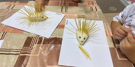 Powiększ grafikę: Jeże z masy solnej