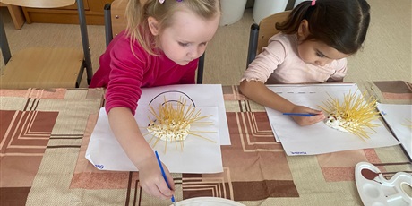 Powiększ grafikę: Jeże z masy solnej