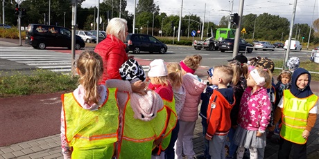 Powiększ grafikę: Koszałki Opałki na skrzyżowaniu