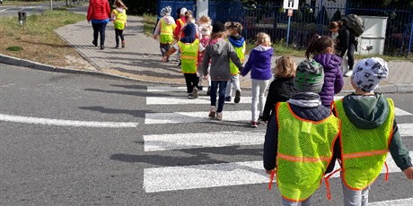 Powiększ grafikę: Koszałki Opałki na skrzyżowaniu