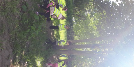Powiększ grafikę: Leśna banda
