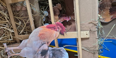 Powiększ grafikę: Mieszkańcy wiejskiego podwórka