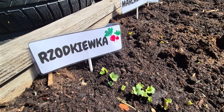 Powiększ grafikę: Nasz ogródek