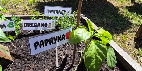 Powiększ grafikę: Nasz ogródek