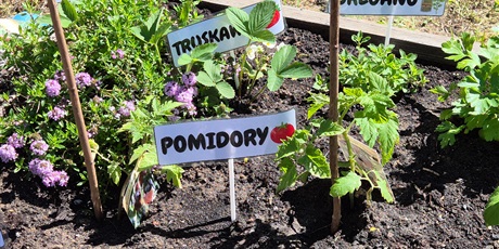 Powiększ grafikę: Nasz ogródek