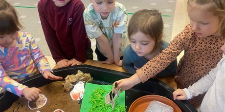 Powiększ grafikę: Nasze codzienne aktywności