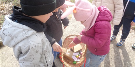 Powiększ grafikę: Poszukiwanie zająca