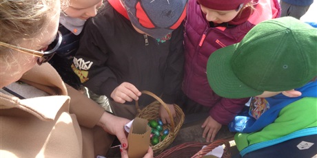 Powiększ grafikę: Poszukiwanie zająca