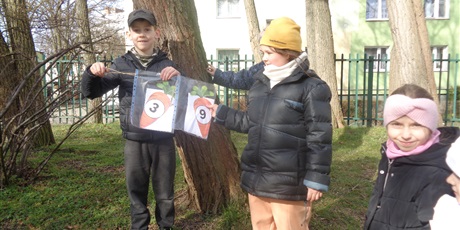 Powiększ grafikę: Poszukiwanie zająca