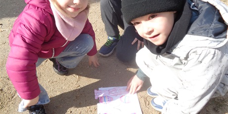 Powiększ grafikę: Poszukiwanie zająca