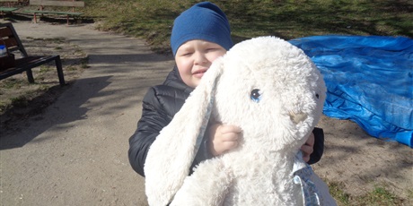 Powiększ grafikę: Poszukiwanie zająca