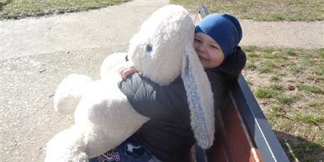 Powiększ grafikę: Poszukiwanie zająca