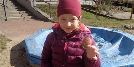 Powiększ grafikę: Poszukiwanie zająca