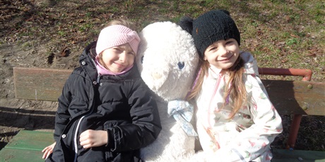 Powiększ grafikę: Poszukiwanie zająca