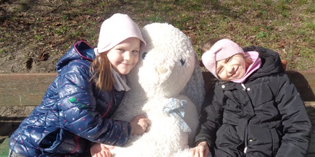 Powiększ grafikę: Poszukiwanie zająca