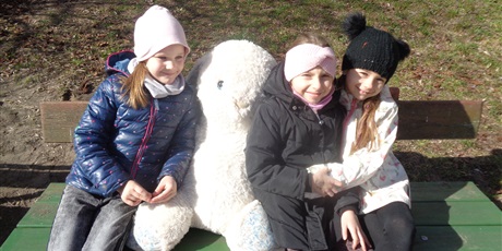 Powiększ grafikę: Poszukiwanie zająca