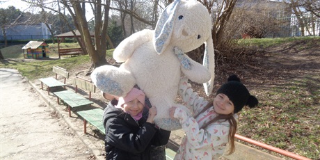 Powiększ grafikę: Poszukiwanie zająca