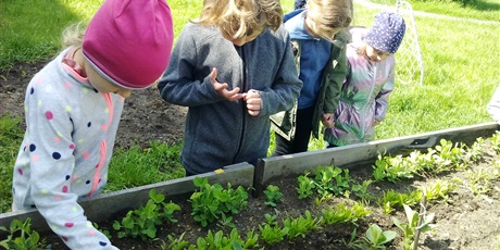 Powiększ grafikę: Prace ogrodnicze na naszej grządce w ogrodzie przedszkolnym