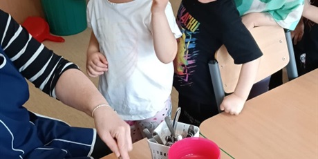 Powiększ grafikę: Sałatka owocowa