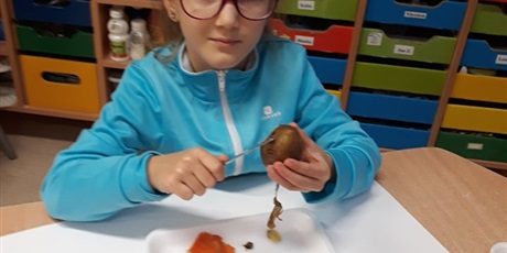 Powiększ grafikę: Sałatkowy zawrót głowy