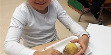 Powiększ grafikę: Sałatkowy zawrót głowy