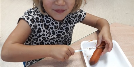 Powiększ grafikę: Sałatkowy zawrót głowy