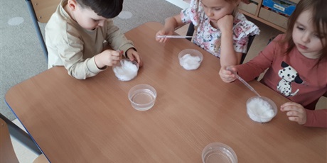 Powiększ grafikę: Siejemy rzeżuchę