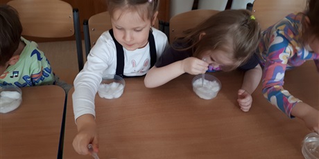 Powiększ grafikę: Siejemy rzeżuchę