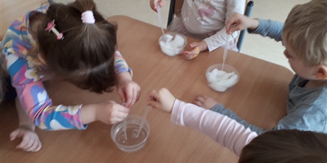 Powiększ grafikę: Siejemy rzeżuchę